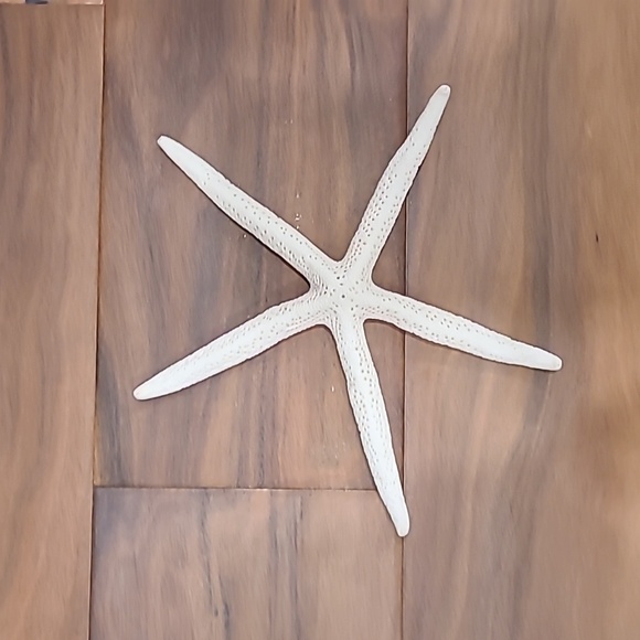 Star fish - Picture 1 of 3